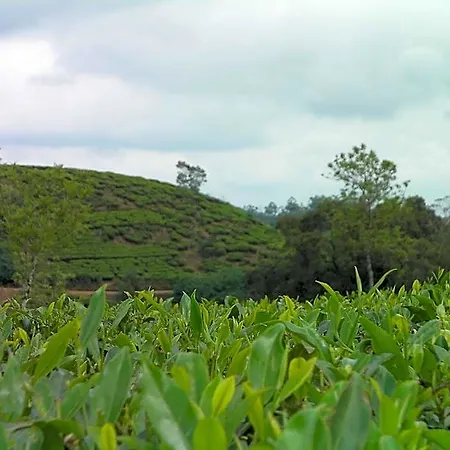 Edelweiss Country 2* Nuwara Eliya