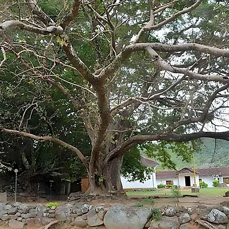 Auslink Nuwara Eliya