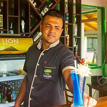 Hotel Ramboda Falls