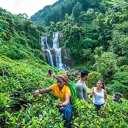 Hotel Ramboda Falls 4*