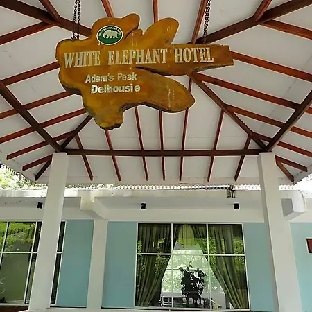 White Elephant * Nuwara Eliya