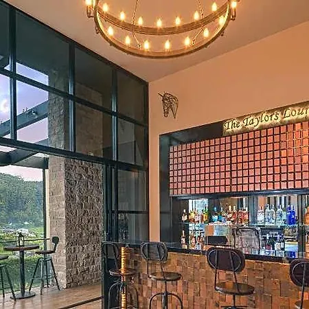 Hotel The Golden Ridge 3*