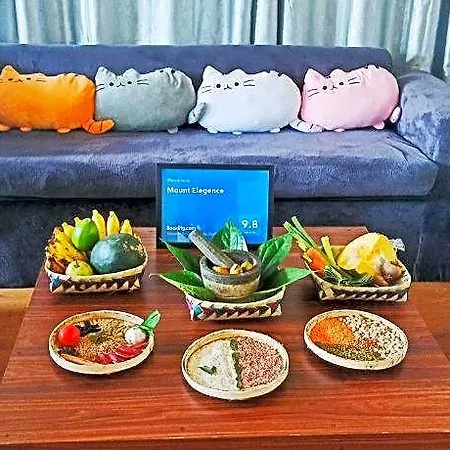 Mount Elegence Hotel