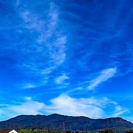 Mount Elegence Hotel