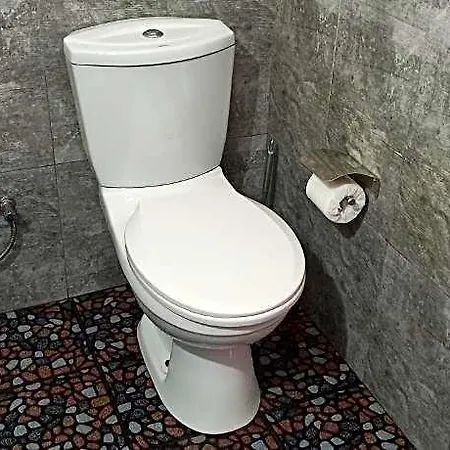 Mount Elegence