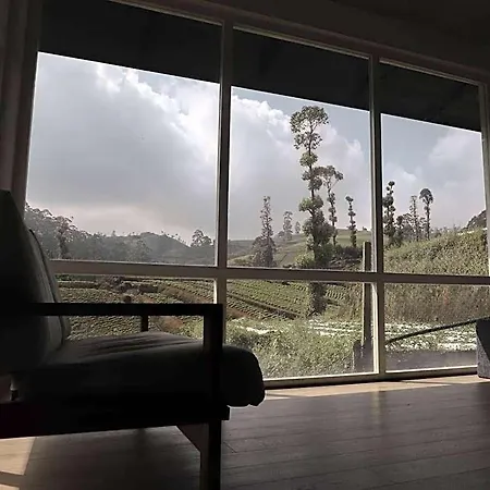 Shannon Rise Hotel 4*