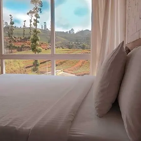 Hotel Shannon Rise