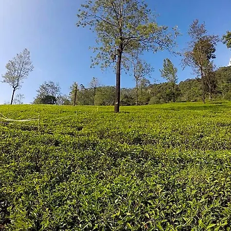 Hotel Shannon Rise Nuwara Eliya