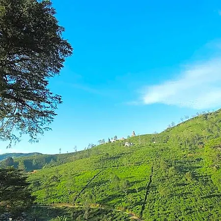 Single Tree Mount 4* Nuwara Eliya