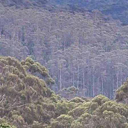 88th 3* Nuwara Eliya