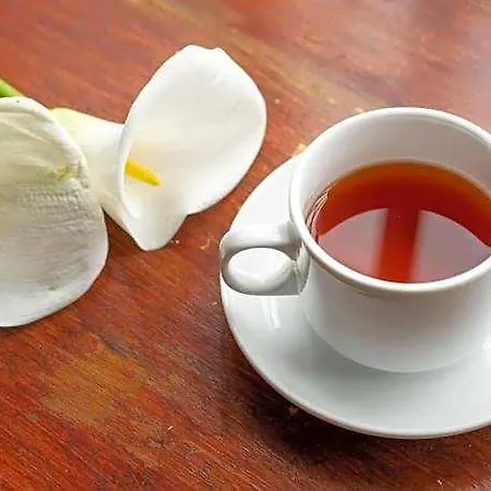 Aaradhya 4* Nuwara Eliya