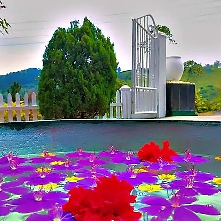 Lassana Nuwara Eliya
