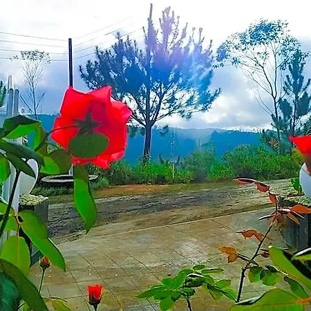Lassana Nuwara Eliya