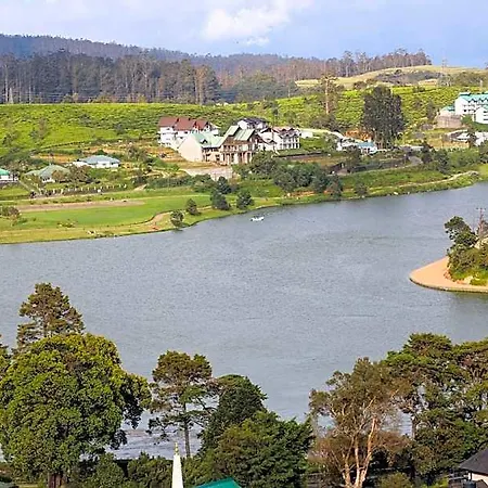 Acacia Nuwara Eliya