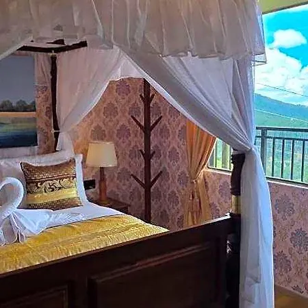 Bonavista 5*