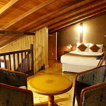 Hotel Alpine 3*