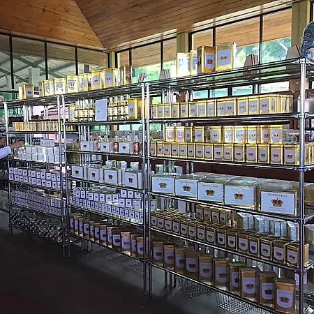 Glenloch Tea Factory Nuwara Eliya