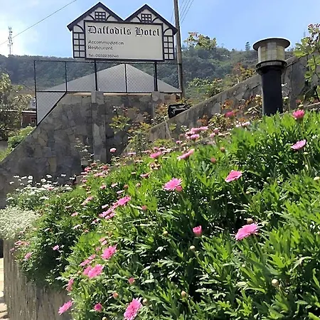 Daffodils Hotel Nuwara Eliya