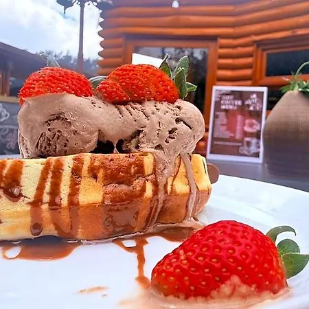 Hotel Queenswood Nuwara Eliya