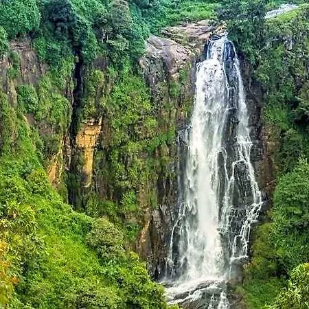 Talawakele Nuwara Eliya