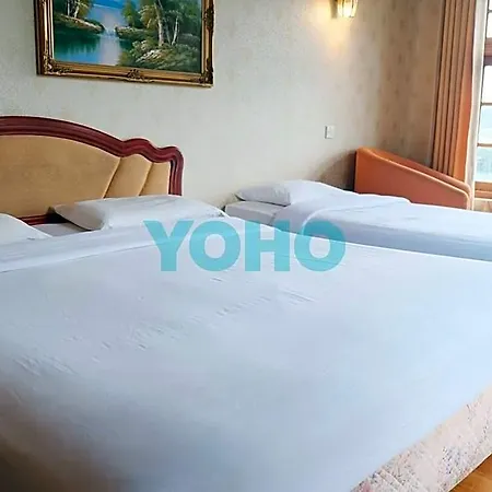 Alpine Hotel 3*