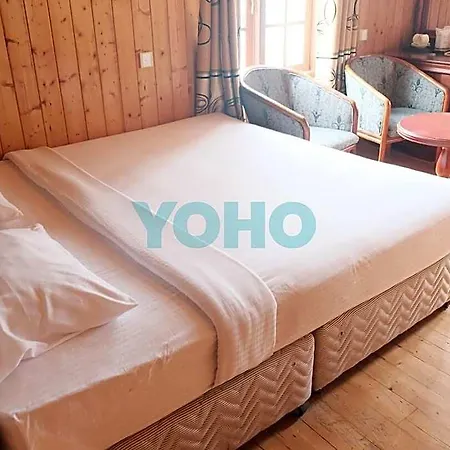 Hotel Alpine