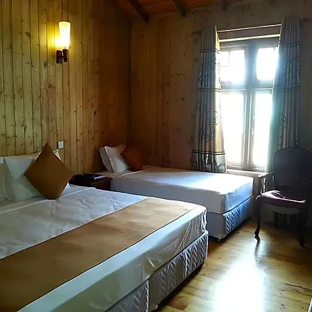 Hotel Alpine