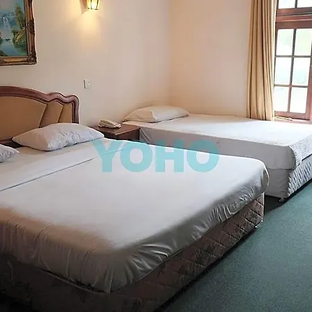Alpine Hotel 3*