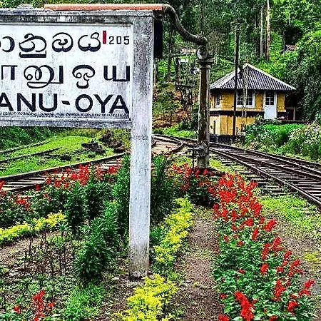 Bed & Breakfast The Train View Nuwara Eliya