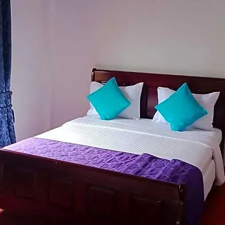 Bed & Breakfast The Train View 3*