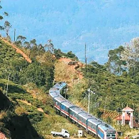 The Train View Nuwara Eliya