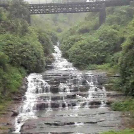 The Train View