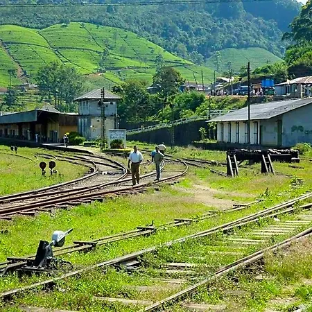 The Train View 3* Nuwara Eliya