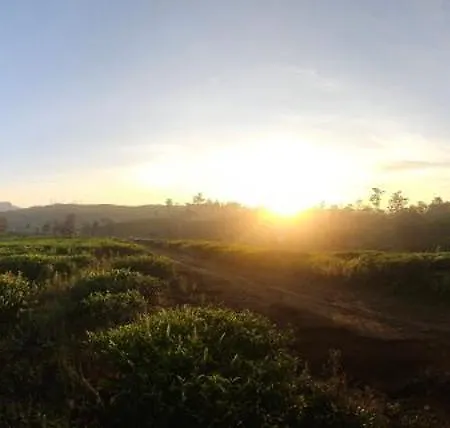 Valley