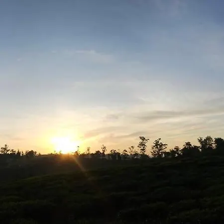 Campsite Valley