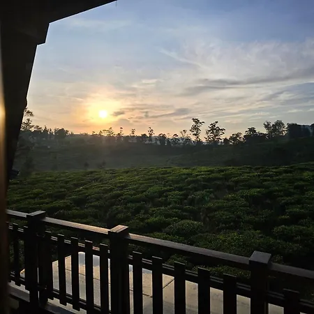 Valley * Nuwara Eliya