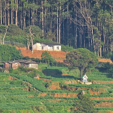 Valley * Nuwara Eliya