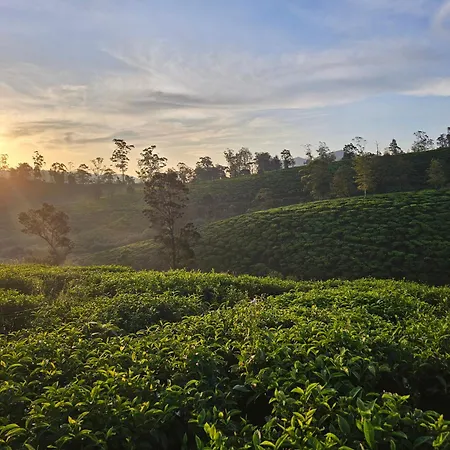 Valley Campsite Nuwara Eliya
