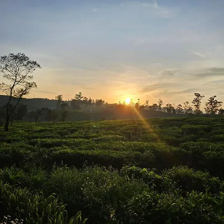 Valley Campsite Nuwara Eliya