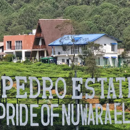Valley Nuwara Eliya