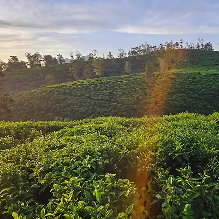 Campsite Valley Nuwara Eliya