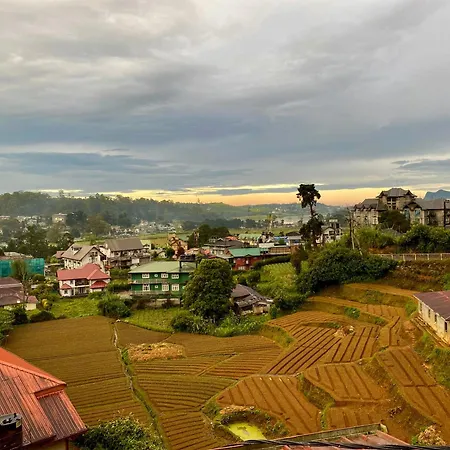 Panthera *