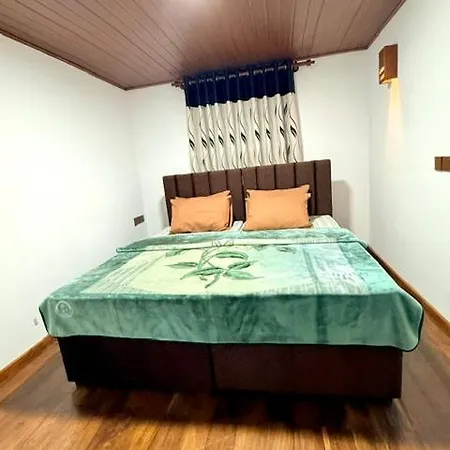 Hostel Leopard's &
