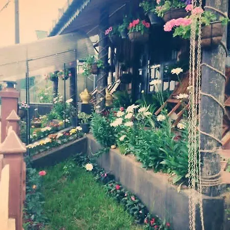 Celonya Wooden Hotel 3*