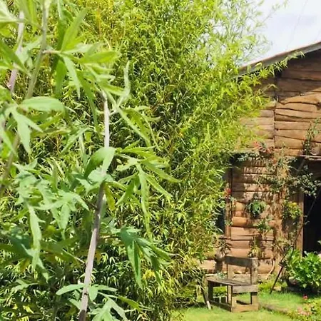 Celonya Wooden Nuwara Eliya