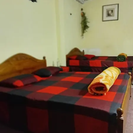 Celonya Wooden 3*
