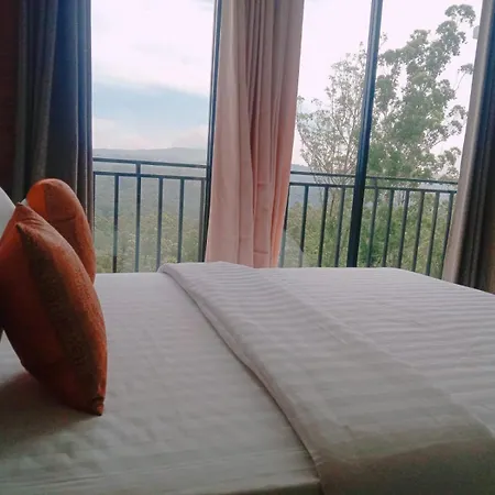Falcon View 3*