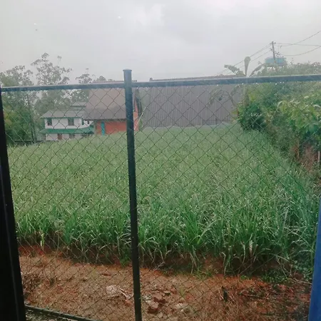Falcon View