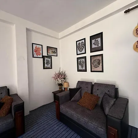 Guest house The Shinya *