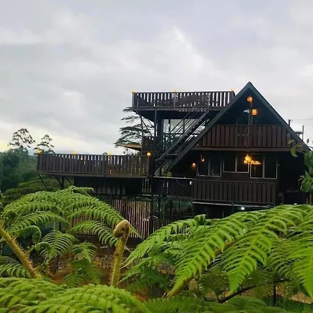Doctor G House Villa *